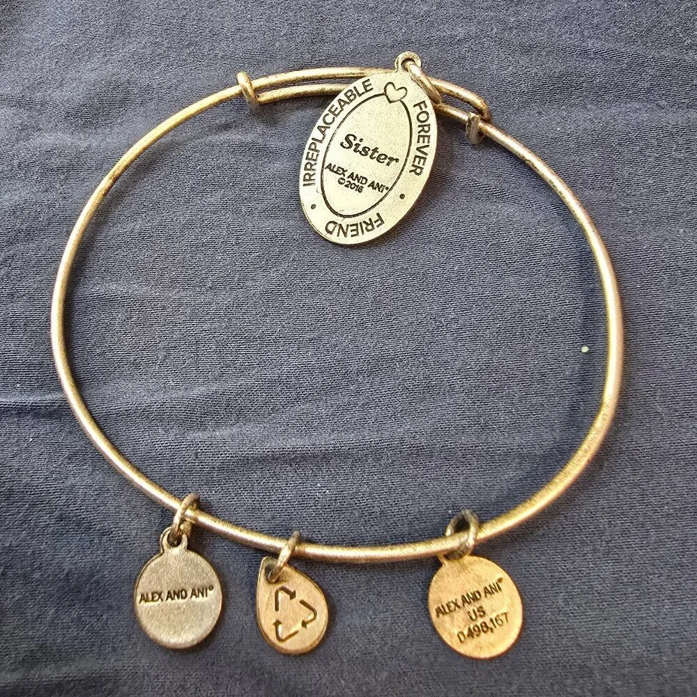 Alex and Ani Honeysuckle Sister Charm Bangle - Rafaelian Silver
